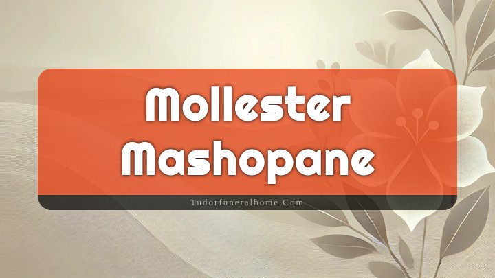 Mollester Mashopane, South Africa